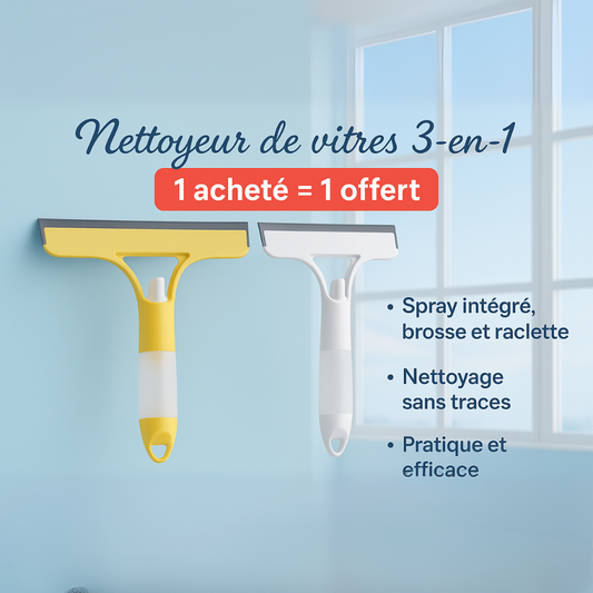 Nettoyeur de vitres 3-en-1